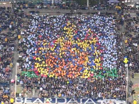 Cal vs. Arizona Card Stunt Show