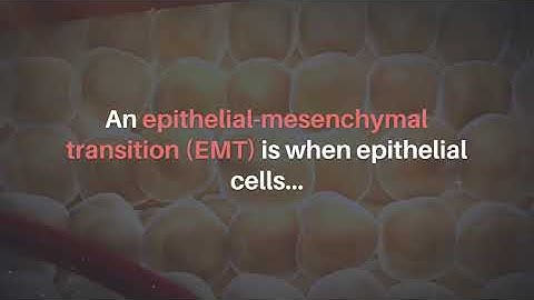 Oncotarget: EMTs Produce Endothelial Cells & Tumor Growth