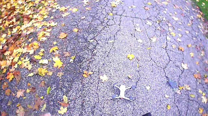 Global Drone GD88 Review!! ... $40 Mavic Mini Clone