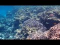Coral Beach Resort Hurghada Reef