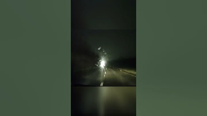 The driver collided with a fallen tree on an unlit road #shorts