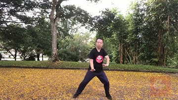 Chen Style Tai Chi New Frame First Routine 陈氏太极拳新架一路 -46 三换掌 II  2ND Three Palm Swap II