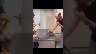 İğneden Korkan Köpek