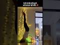 Patience is power | #shorts #youtubeshorts #trending #ytshorts #yt #shortsfeed #viral #reels #yoga
