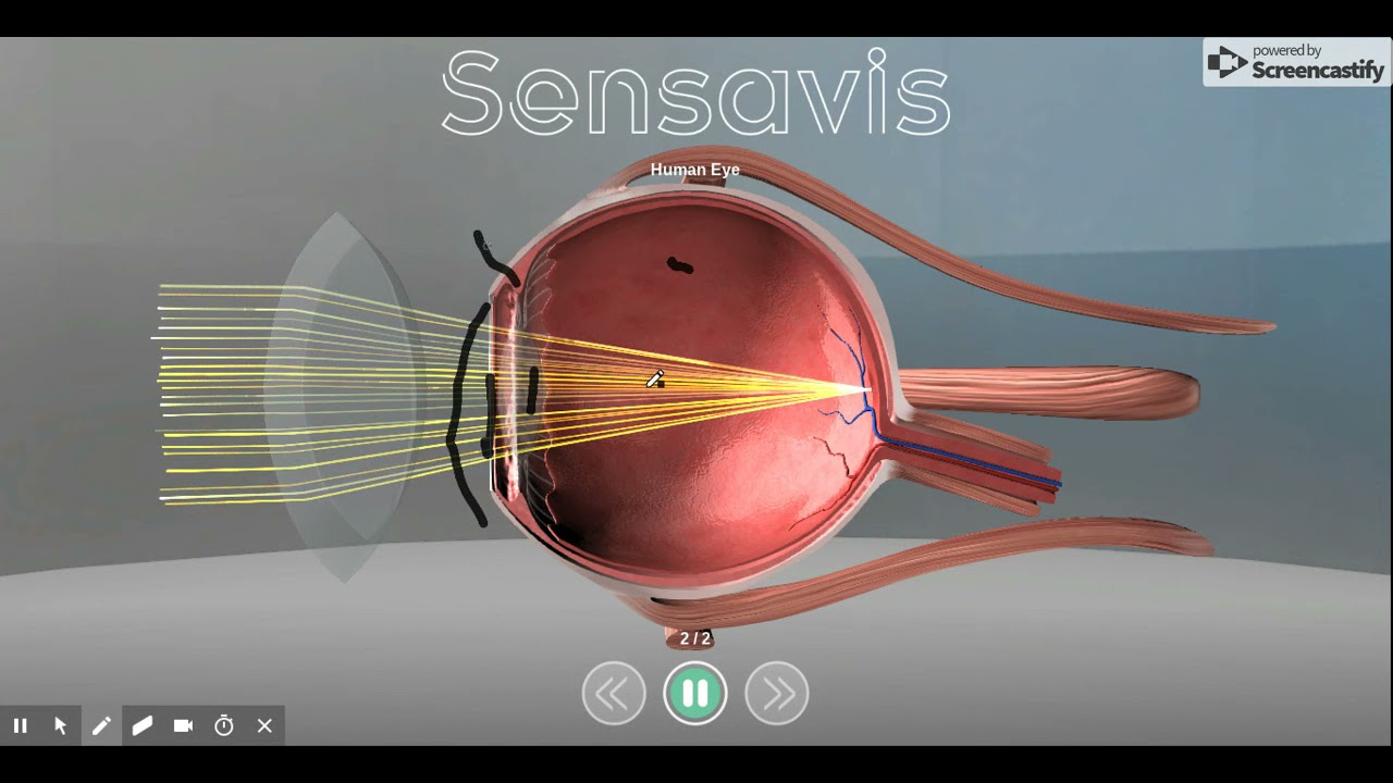 Sensavis Visual Learning Tool use by IES Kista student