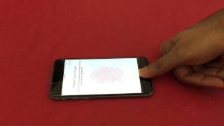 Touch Gate!! Never use Apple Pay!!