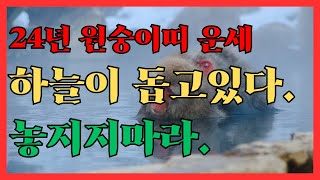 24년 원숭이띠 운세 하늘이 돕고 있다. 놓치지 마라. #원숭이띠