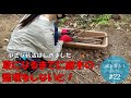 #22【リノベの家】＼小さな薪活はじめました／夏になるまでに庭木の整理をしないと！
