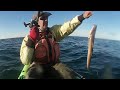 Me di vuelta en el kayak tratando de igualarlo a Leo | Un albatros muy mansito casi come de mi mano.