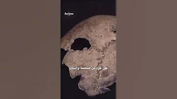 نظرية تدعي نجاة هتلر من الموت وهروبه إلى الأرجنتين 