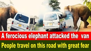 A ferocious elephant attacked the  van ..Fierce elephants are everywhere on this road by BLACK ELEPHANT 895 views 3 weeks ago 9 minutes, 7 seconds