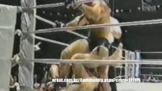 The Best Of  Wanderlei Silva