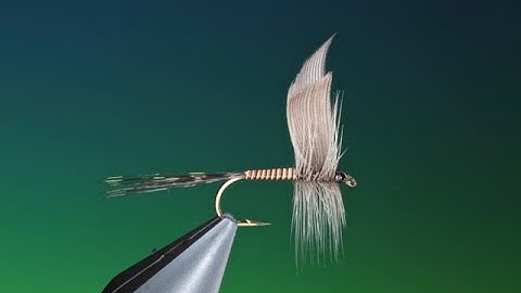 Fly Tying Mallard slip wings with Barry Ord Clarke