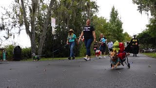 Howl-O-Ween costumes: Pups take center stage at Florida canine contest