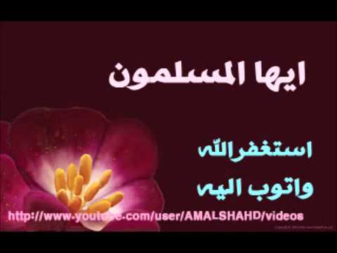 نشيد ايها المسلمون طفل صوتة جميل