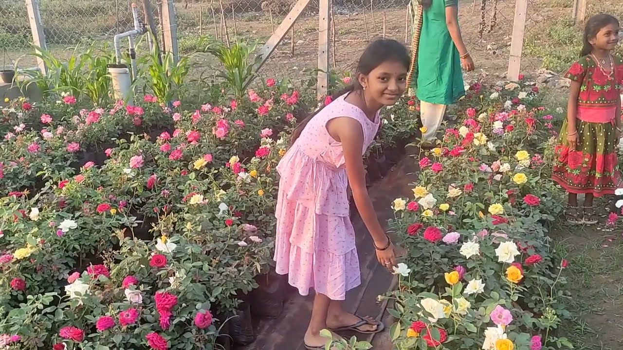 భద్రాచలం లో పూల మొక్కల నర్సరీ