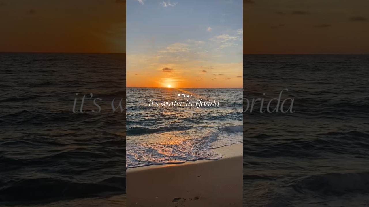 ☀️ Winter in South Florida be like 