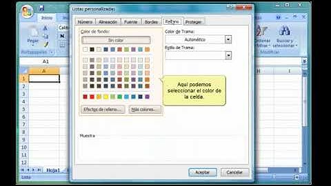 Excel 2007 17 1  Formatos de números personalizados