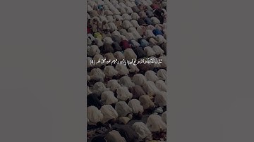 تلاوة عطرة من سورة القدر🌱