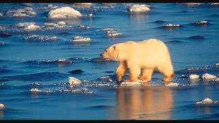 Un maravilloso planeta llamado TIERRA