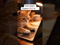 Explain REST API