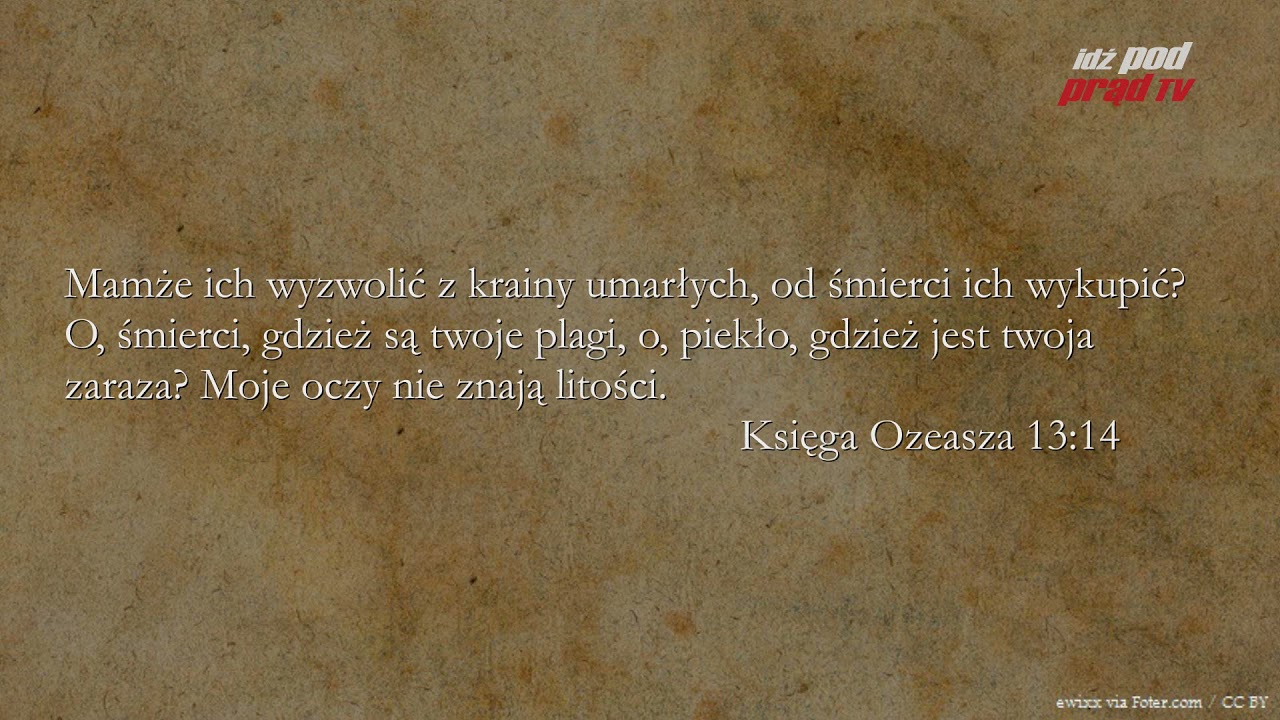 BIBLIA NA CO DZIEŃ: Księga Ozeasza #13 cz.2 episode artwork