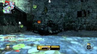 Black Ops: 111-10 Domination on Hanoi with Gold G11