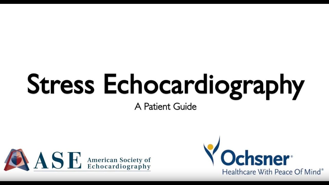 Stress Echocardiography A Patient Guide YouTube Stress echocardiography a patient guide youtube