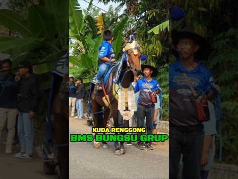 Horse dance new video shorts - video shorts toutube