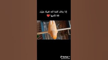 القرآن الكريم تلاوة عطرة تقشعر منها الأبدان راحة نفسية تبكي القلوب