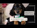 PUPPY GROOMS, SNOW FIGHTS &amp; STRESS | 24 DAYS OF CHRISTMAS. | VLOGMAS DAY 15 | jessica chelsea