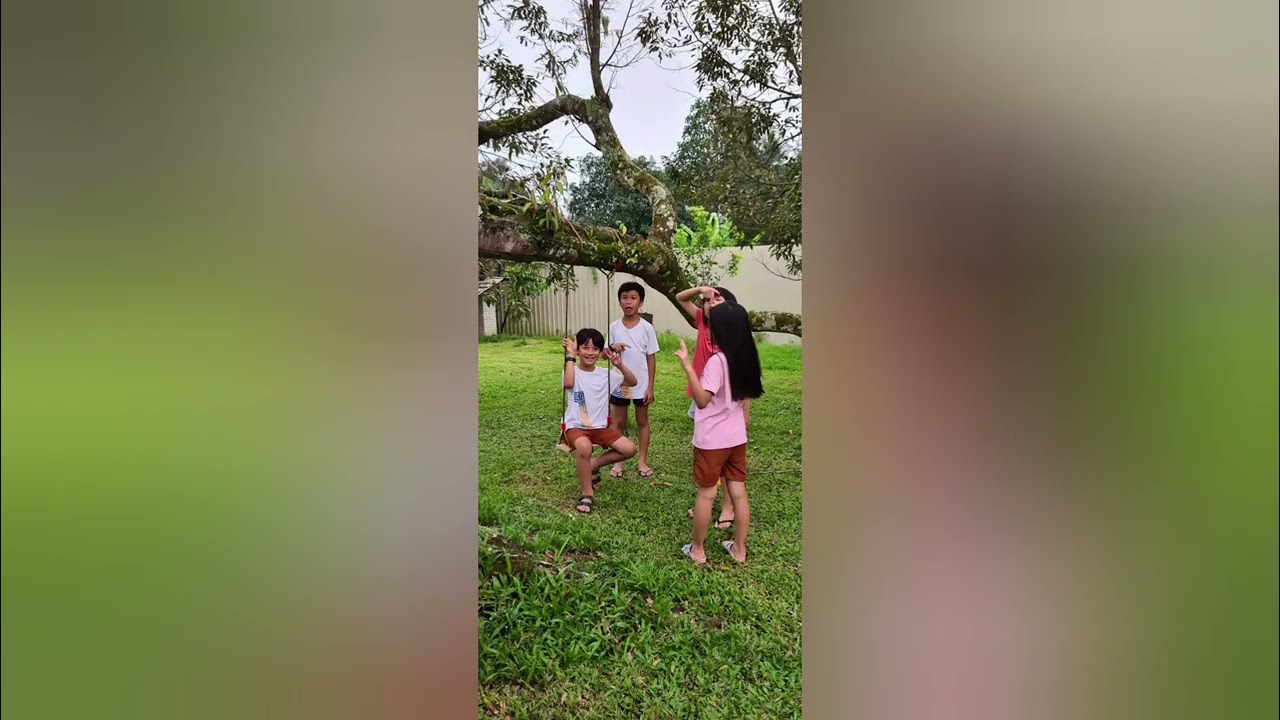 good day Campsite @brogo