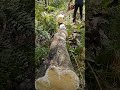 fast cut!