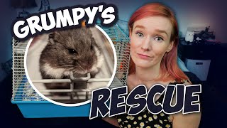 THEY REHOMED HIM AFTER A MONTH!?! | Grumpy's Rescue Story | Munchie's Place
