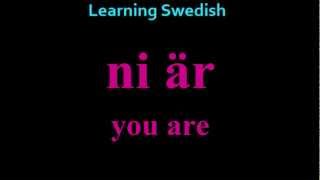 Learning Swedish (Lesson 4) To Be And To Have