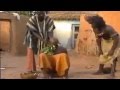 Exorcise Funny بسیار خنده دار جن گیری در آفریقا Exorcise Funny بسیار خنده دار جن گیری در آفریقا