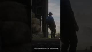 Настройка игры HDR / Red Dead redemption 2 #reddeadredemption2 #funny