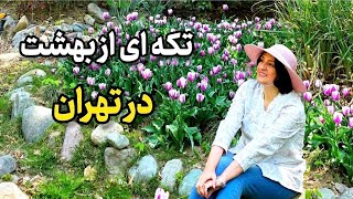 خاص ترین لوکیشن بهاری تهران که هیچکس بهت نمیگه screenshot 4