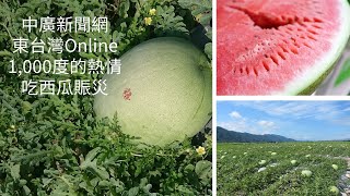 【東台灣online】一千度的熱情 吃花蓮果艷西瓜助賑災04 29 24