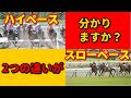 【競馬必勝法】ペースによるレース展開の違いとは？　4分類に分けたペース分析動画、🔰競馬初心者必見の動画！