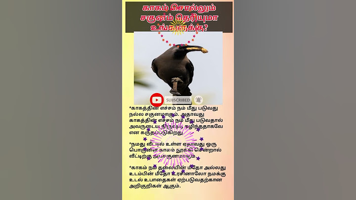 காகம் சொல்லும் சகுனம் தெரியுமா உங்களுக்கு?/Velan Bakthi #shortsfeed #tamilshorts #shorts