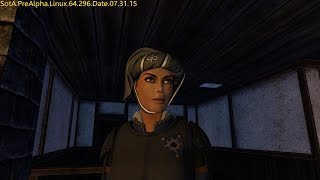 Shroud of the Avatar PRE-ALPHA R20 - Grand Tour (Chaperon Hat)