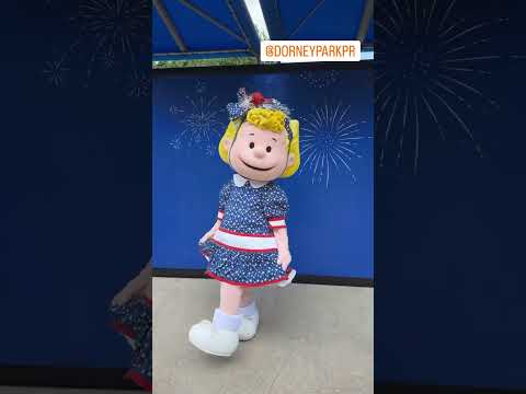 Sally Brown DorneyParkPR