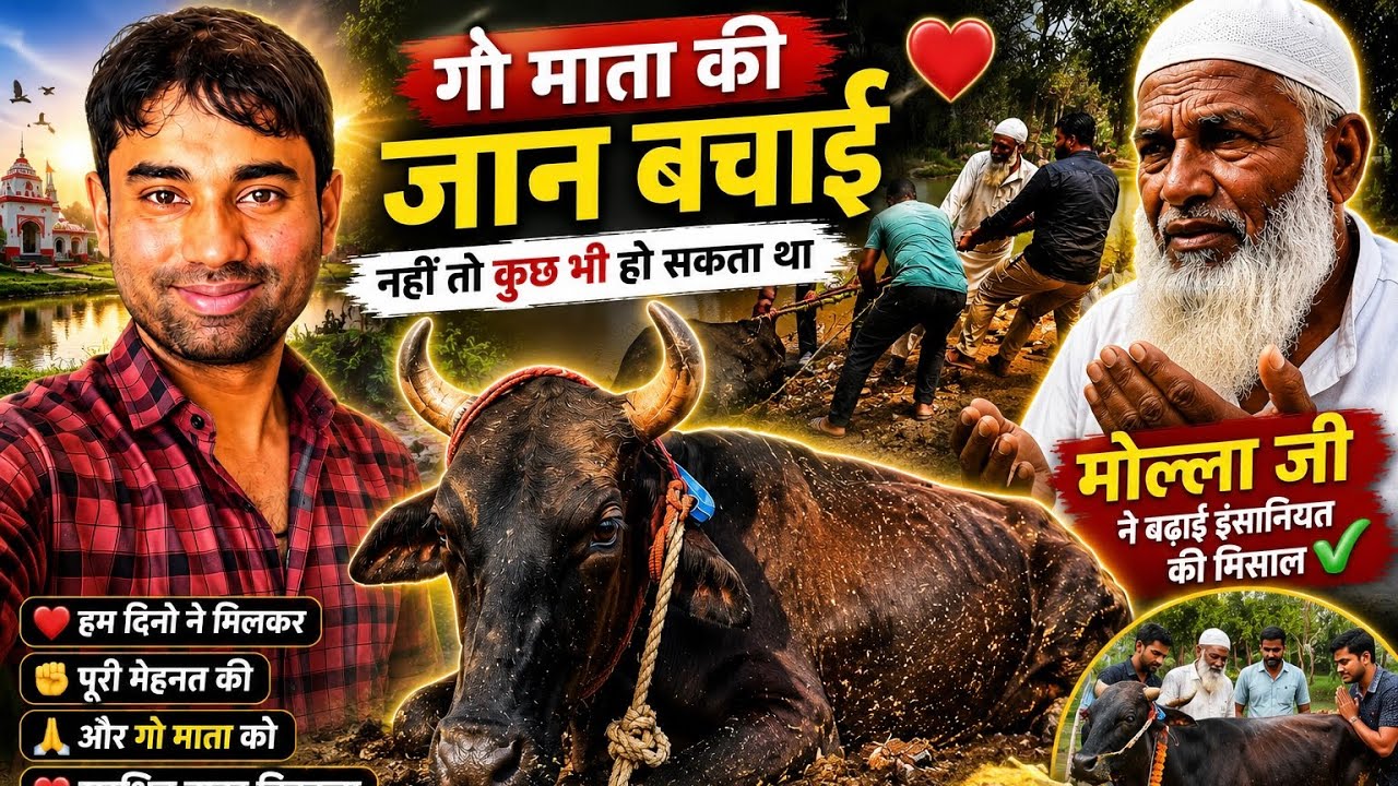 Gau Mata Nale Me Phas Gayi Thi #family #vlog #gaumata #youtube 