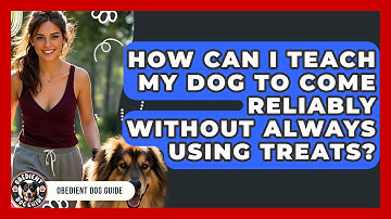 How Can I Teach My Dog To Come Reliably Without Always Using Treats? - Obedient Dog Guide
