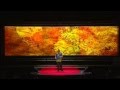 Viajeros curiosos: Enrique Margery at TEDxPuraVida 2013
