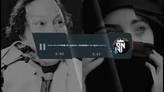 na chedo Hume hum sataye hue hain Nusrat Fateh Ali Khan 