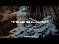 The Moon Exalted - Damon Albarn (Traducido al Español)