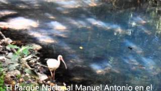 Problemas Ambientales Antrópicos