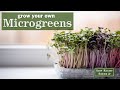 Sow right seeds  microgreens starter kits